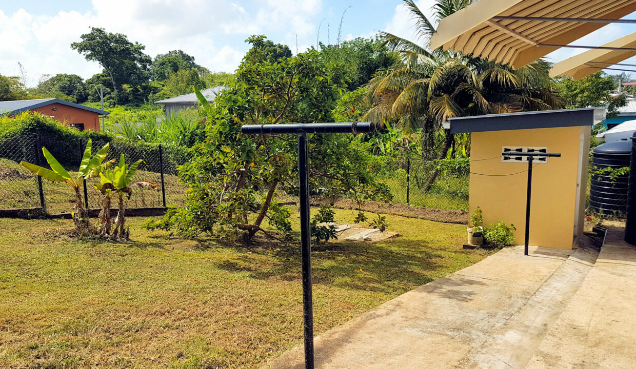 16 Back Yard 1