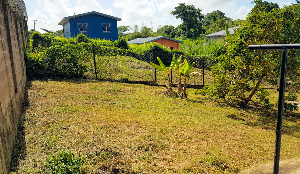 17 Back Yard 2
